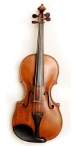 Violin
